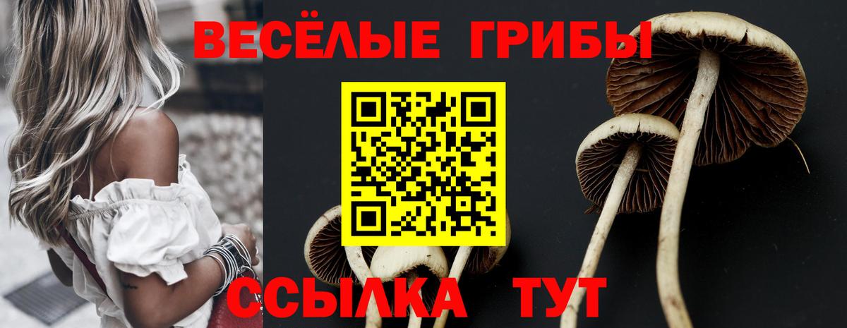 Псилоцибиновые грибы MAGIC MUSHROOMS  Вход с VPN  Борисоглебск 